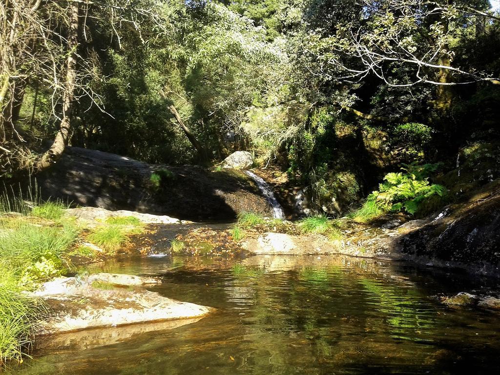 Serra De Arga Mountain House Montaria Εξωτερικό φωτογραφία